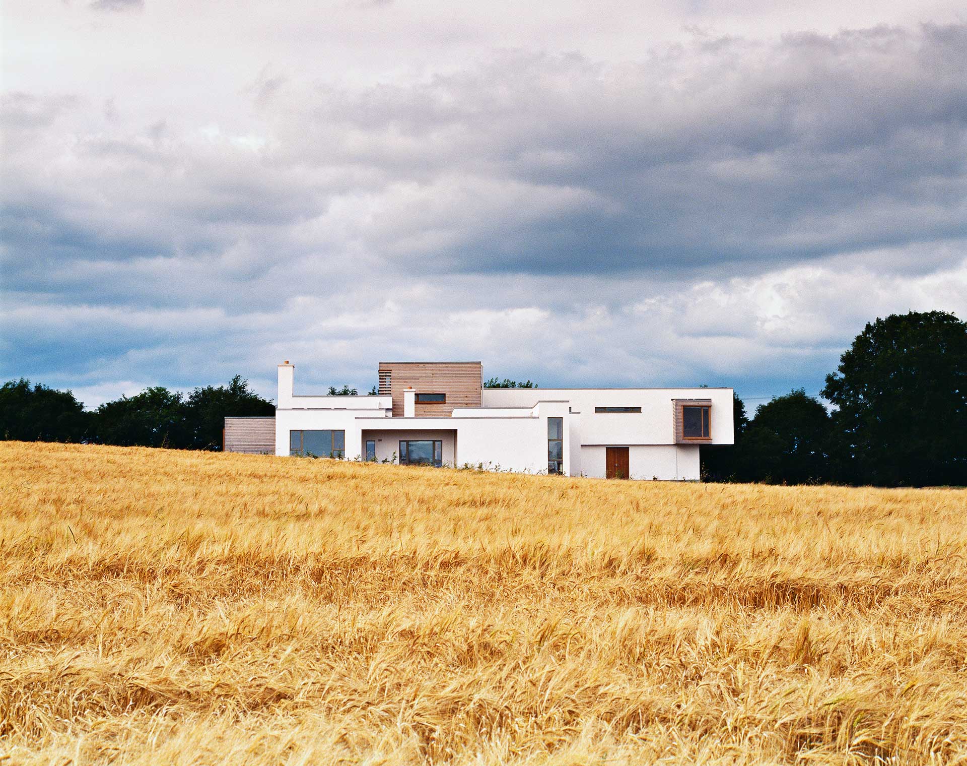 House in a Field